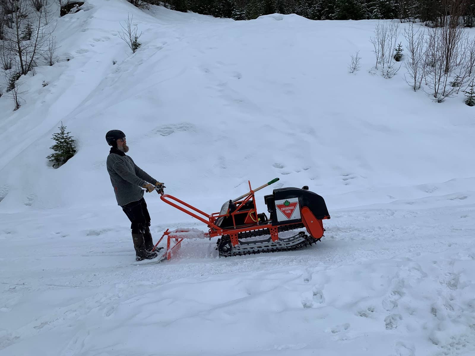 Diverse Flora and Fauna