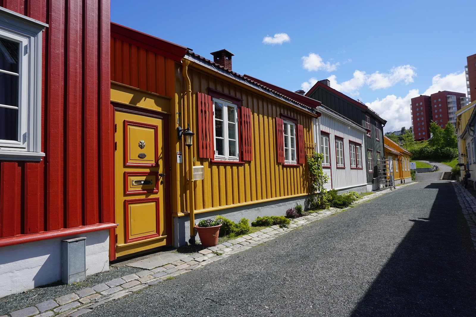 Ilsvikøra - Image 1