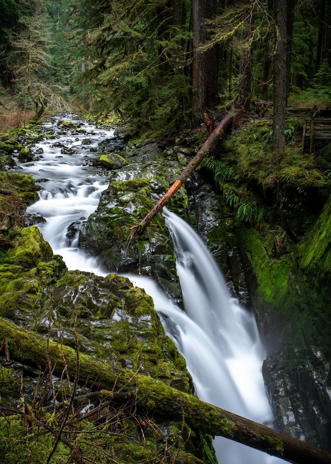 Sol Duc Valley Olympic National Park - Image 1