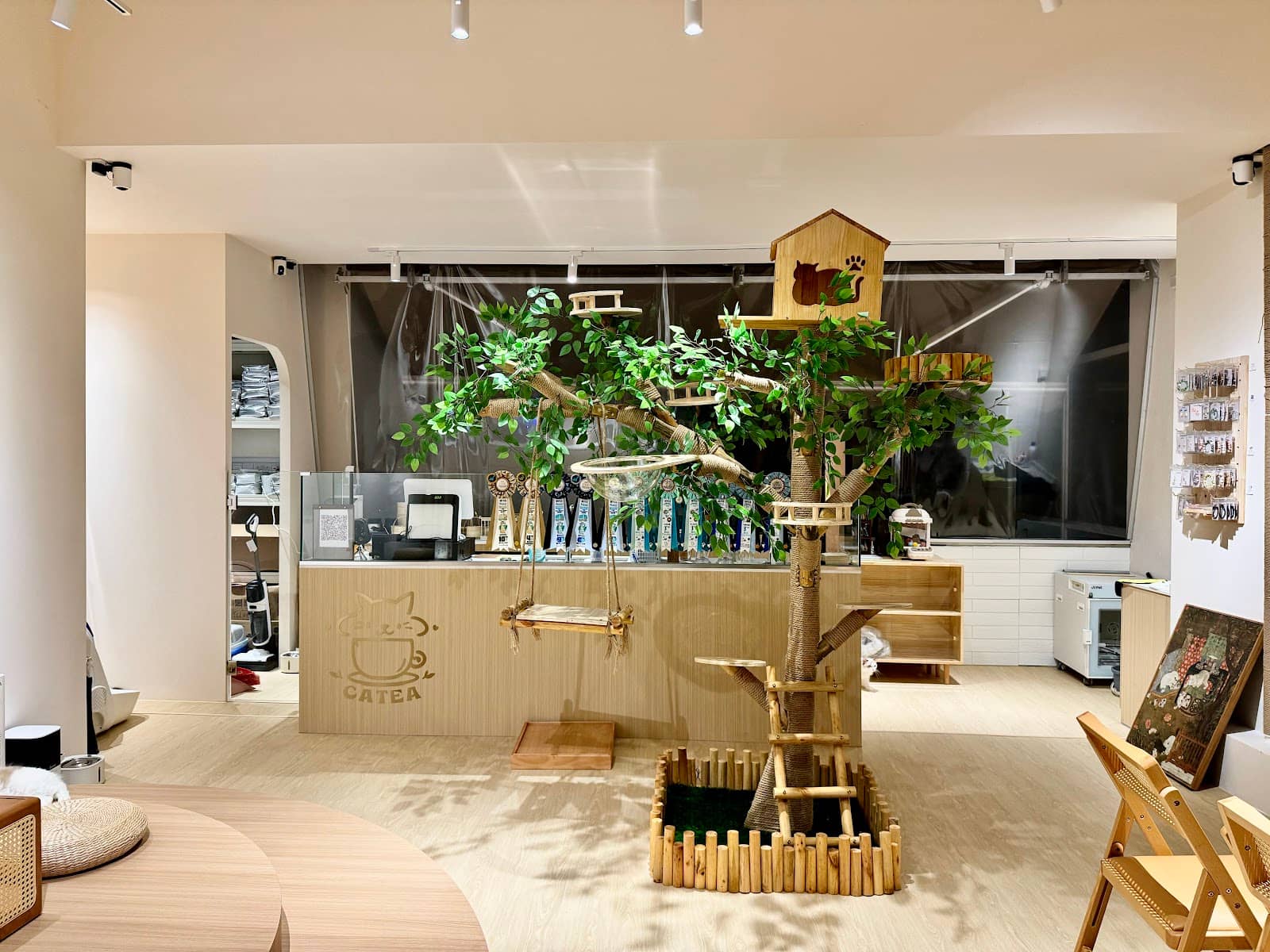 Kung Fu Tea Experience