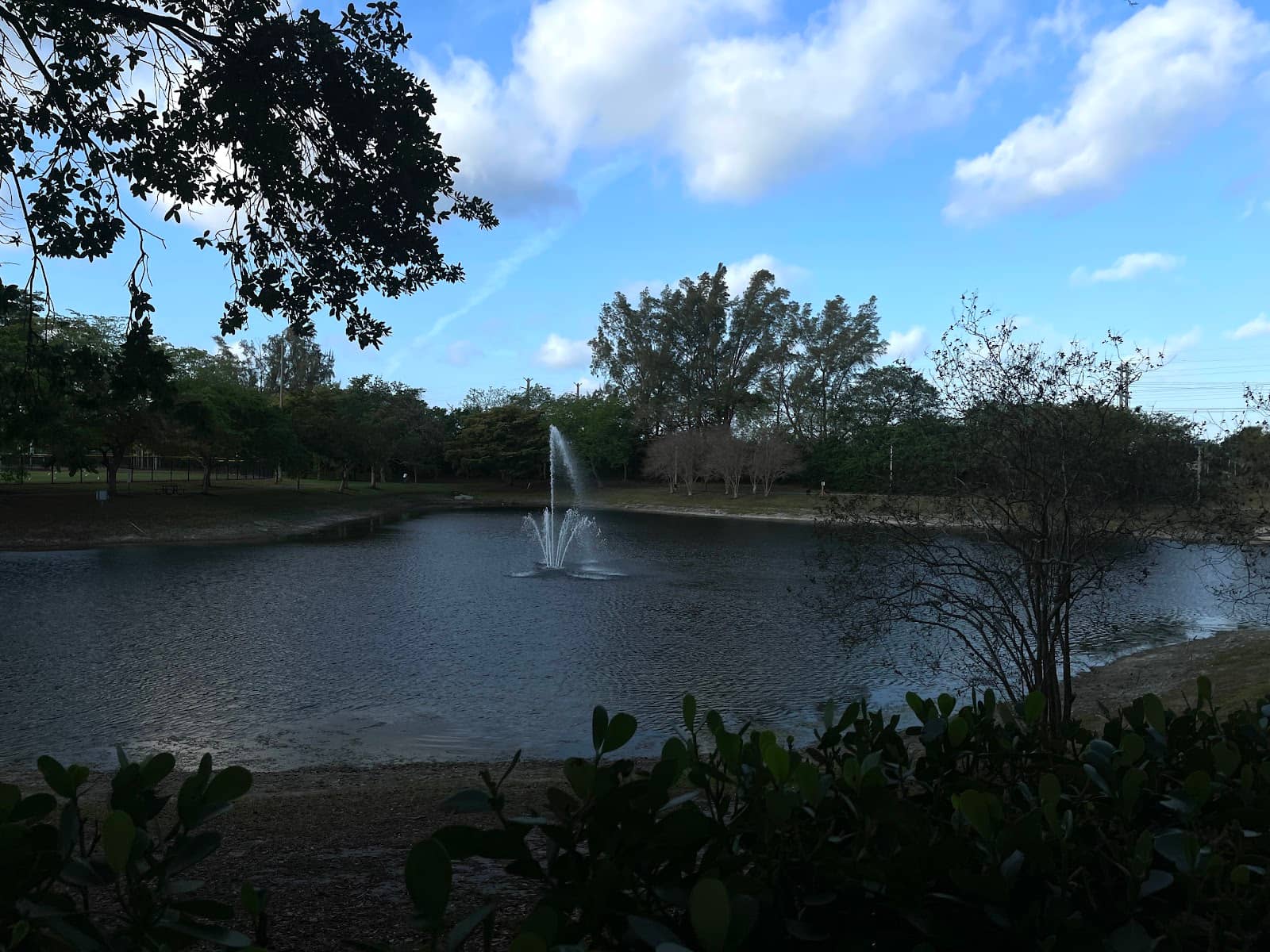 Vibrant Youth Programs