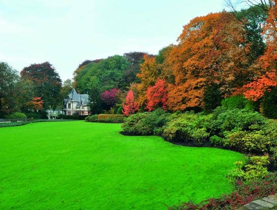 Architectural Marvel