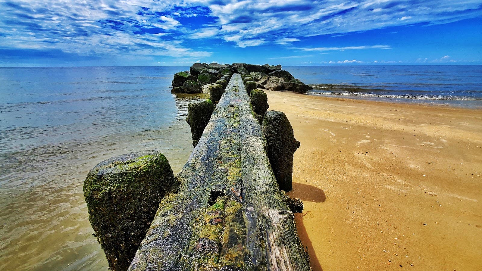 North Cape May - Image 1