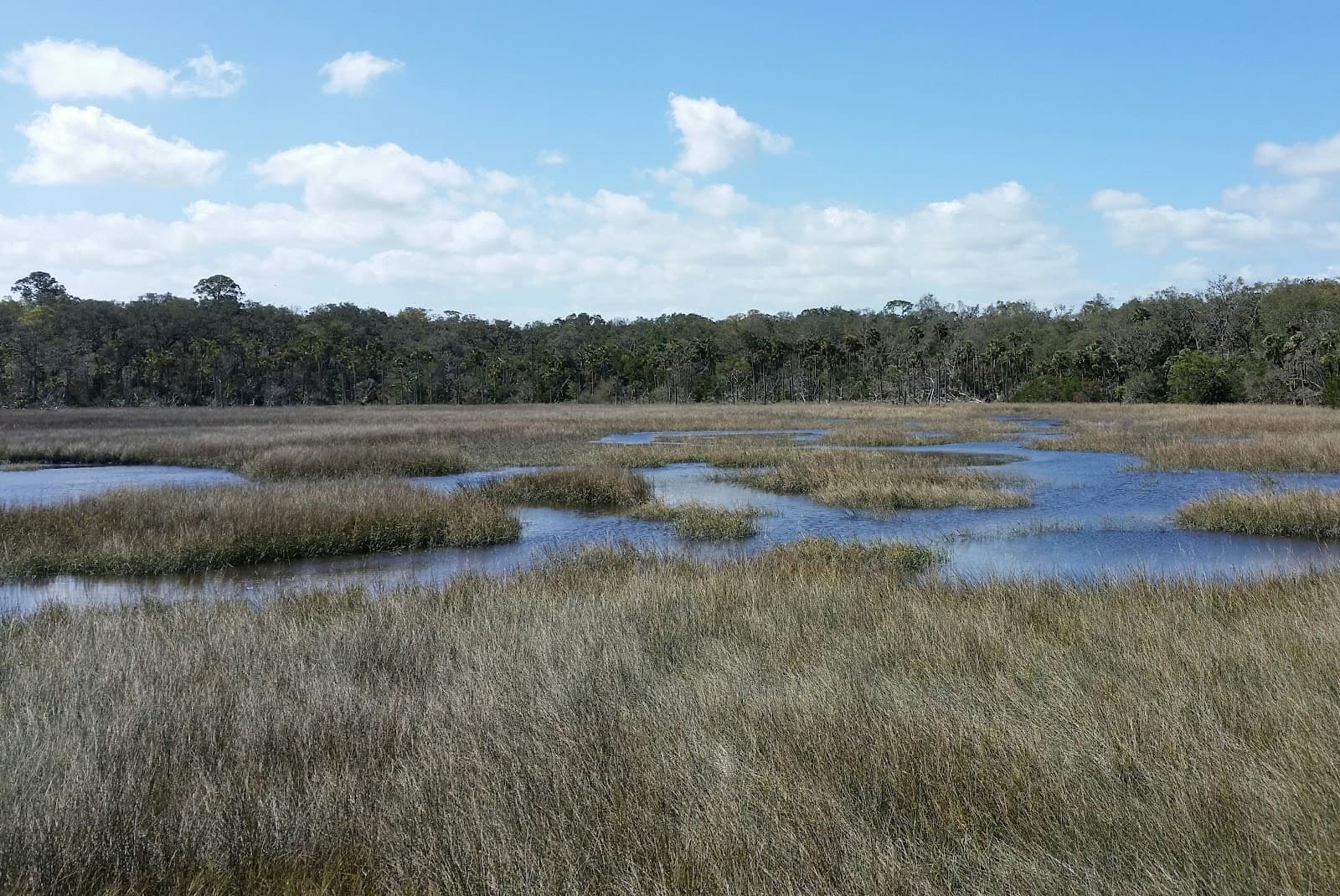 Timucuan Ecological and Historic Preserve - Image 1