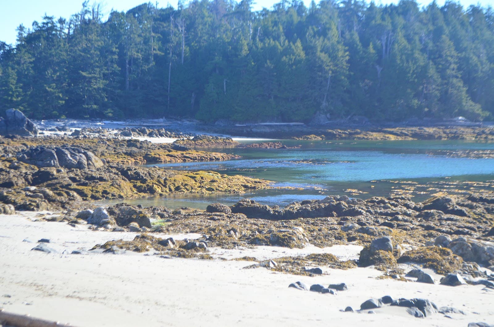 Broken Group Islands - Image 1