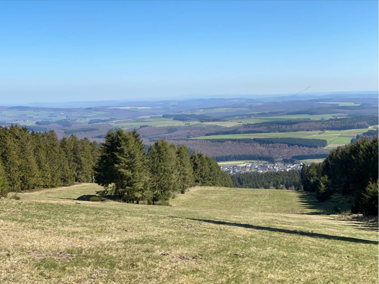 Mountain Biking Trails