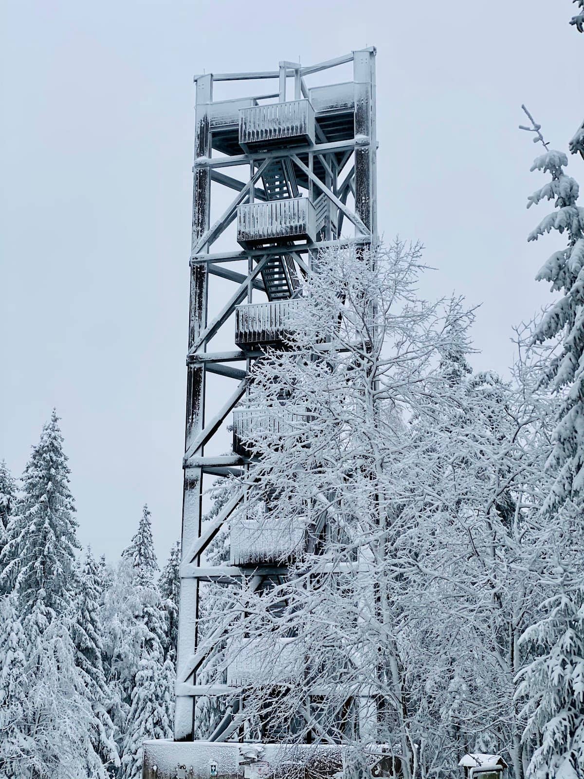 Vertical photo