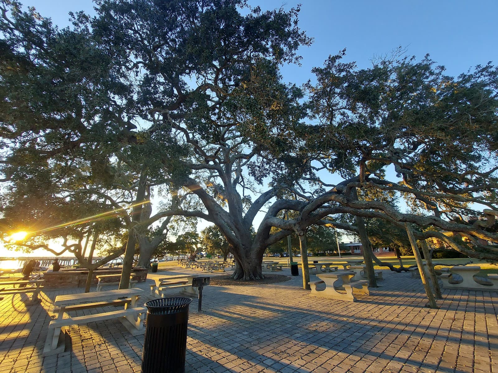 Neptune Park - Image 1