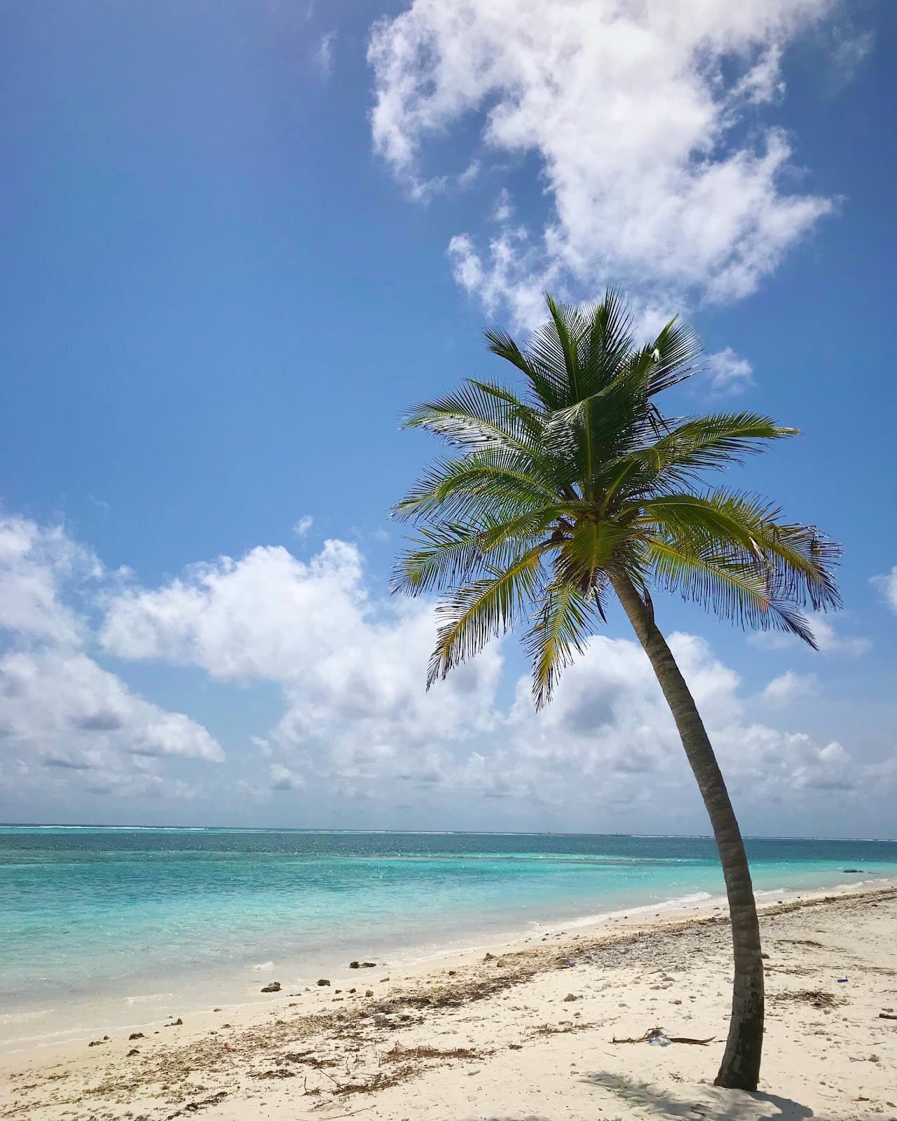 Kaashidhoo Archaeological Site - Image 1