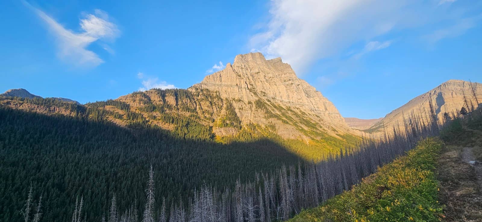 Horseback Riding Adventure