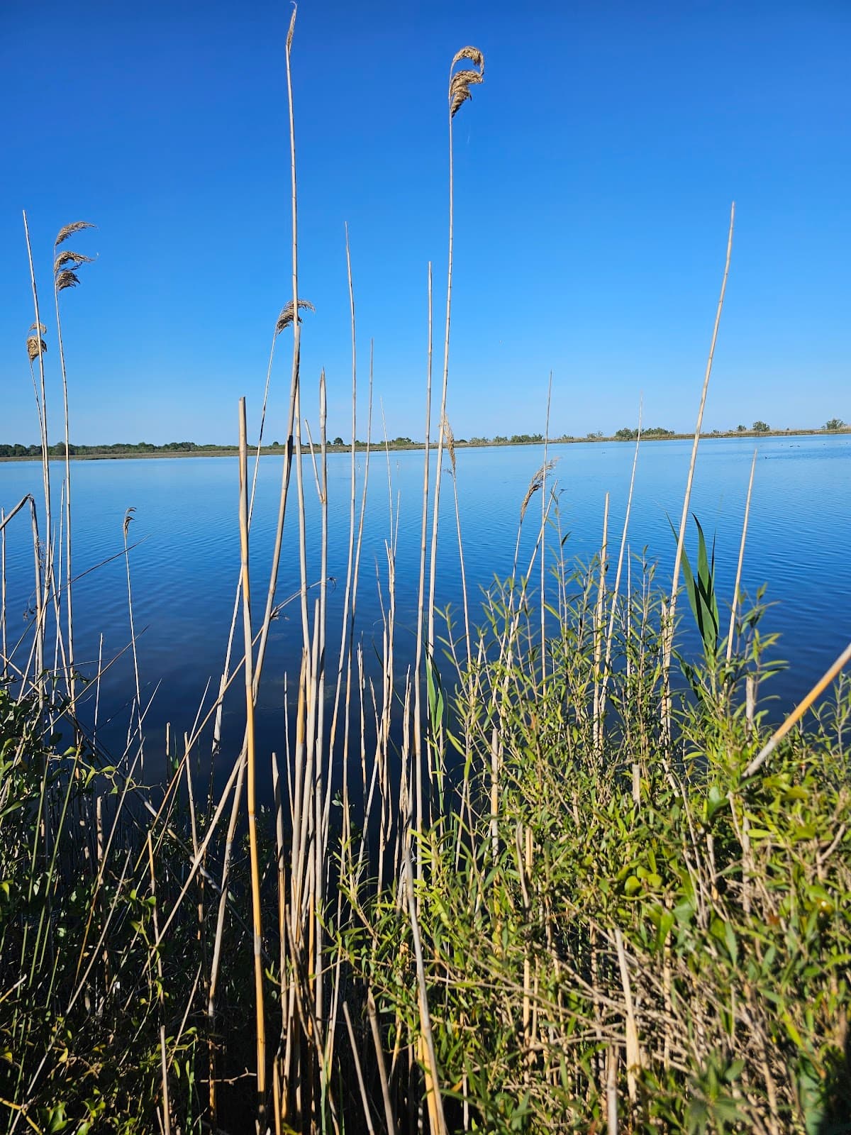 Étang de Palu - Image 1