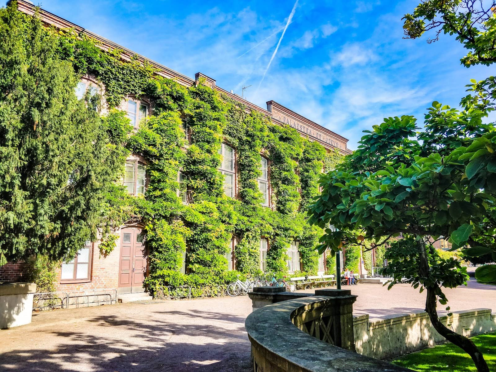 University Atmosphere