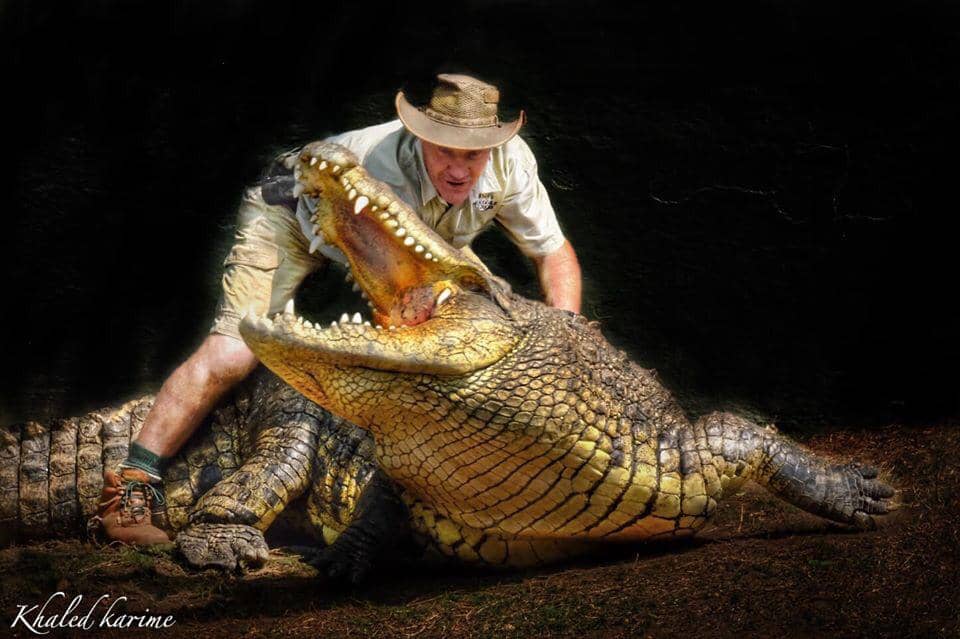 Interactive Feeding Demonstrations