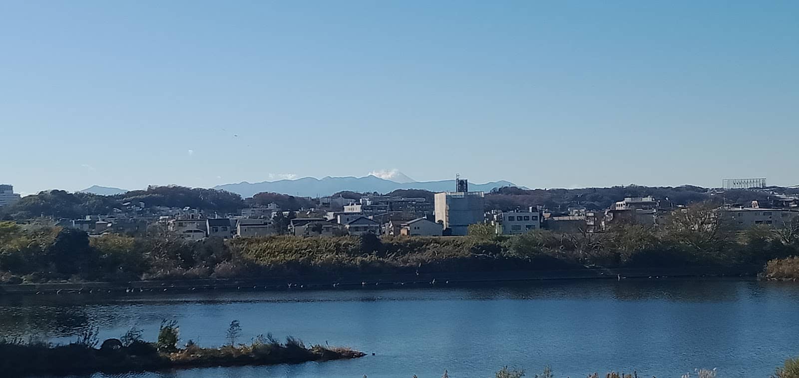 Local Culinary Delights