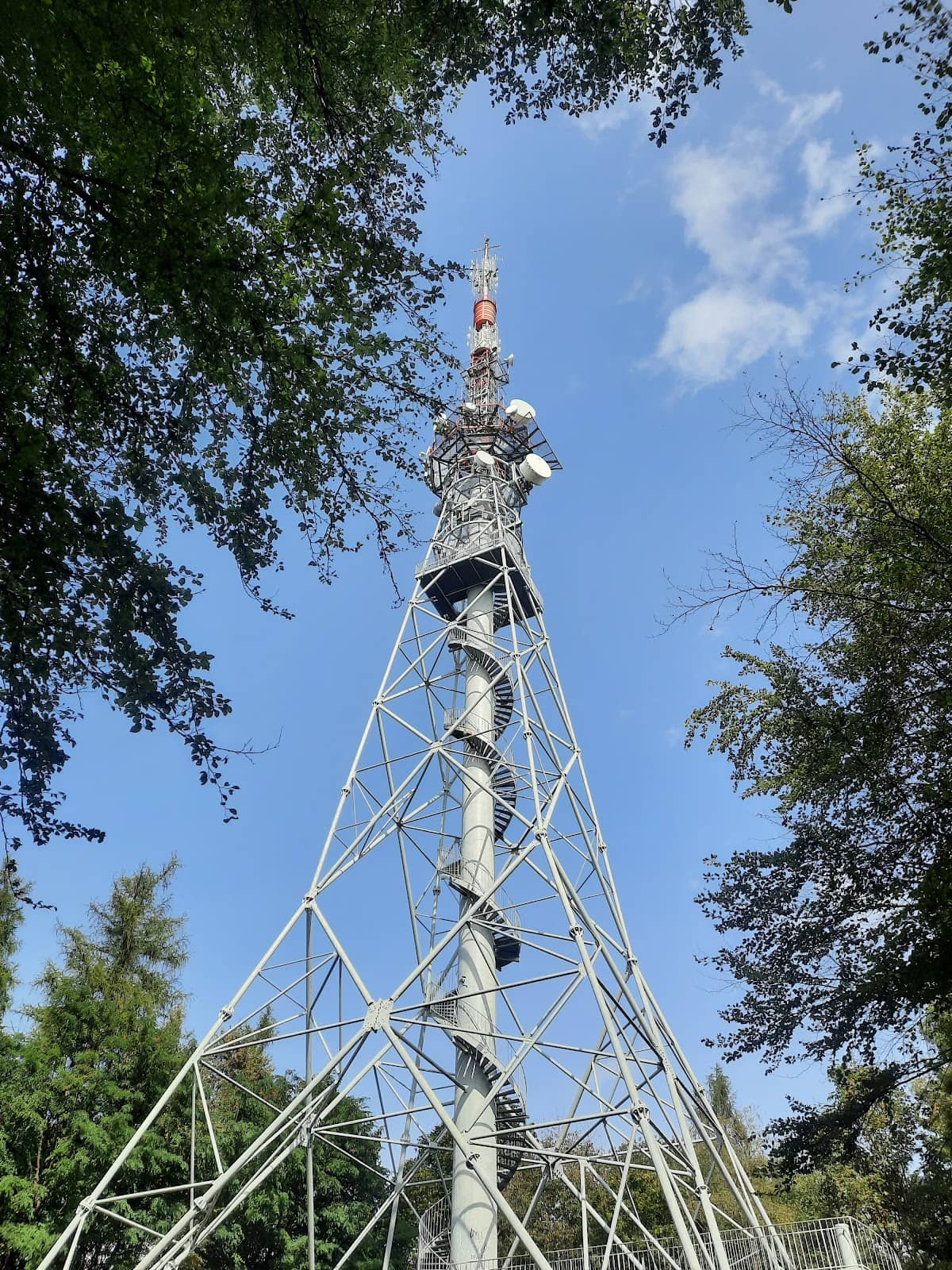 Peaceful Hiking Trail