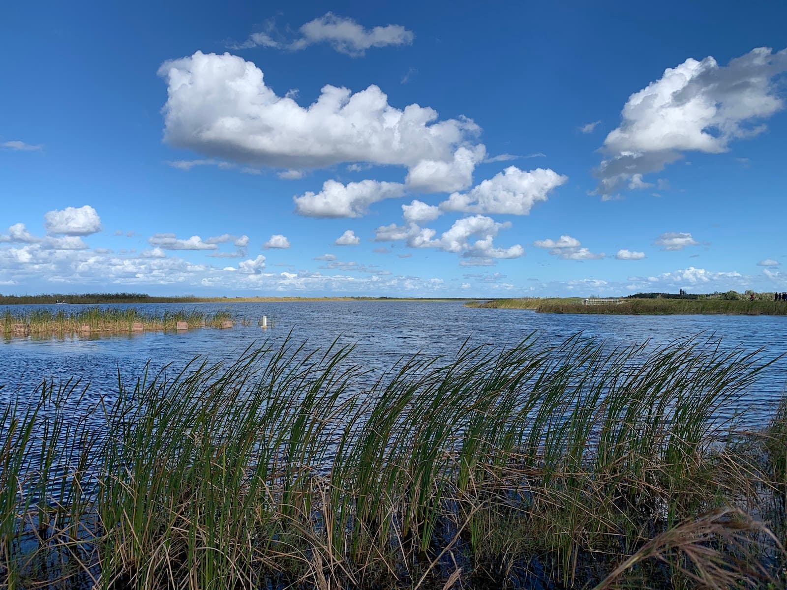 Loxahatchee NWR – Hillsboro Area - Image 1