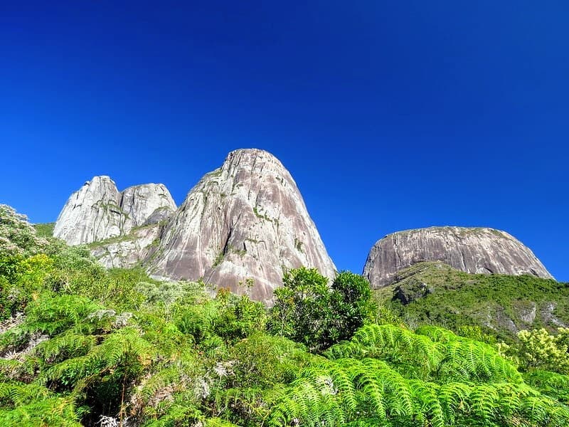 Parque Estadual dos Três Picos Salinas - Image 1