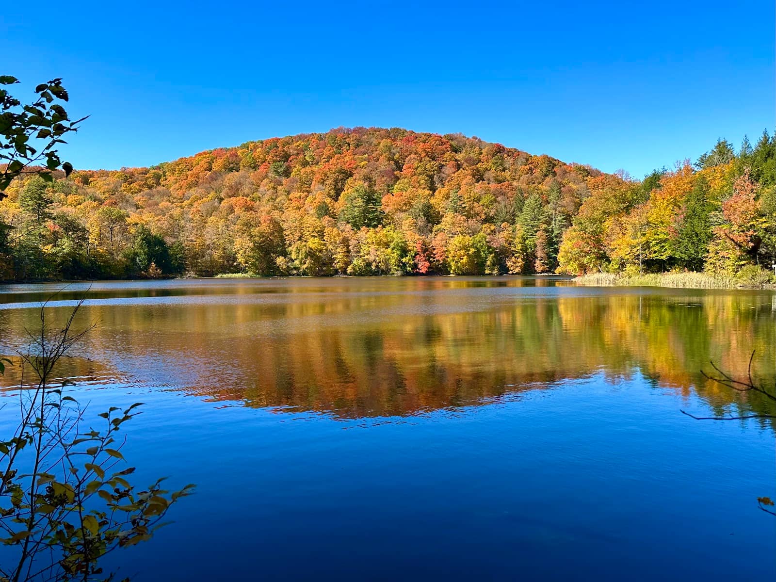 Friendship and Camaraderie