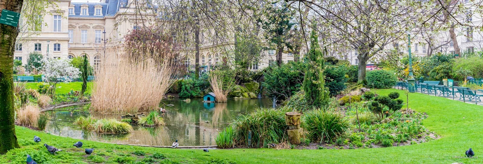 Performance Pavilion