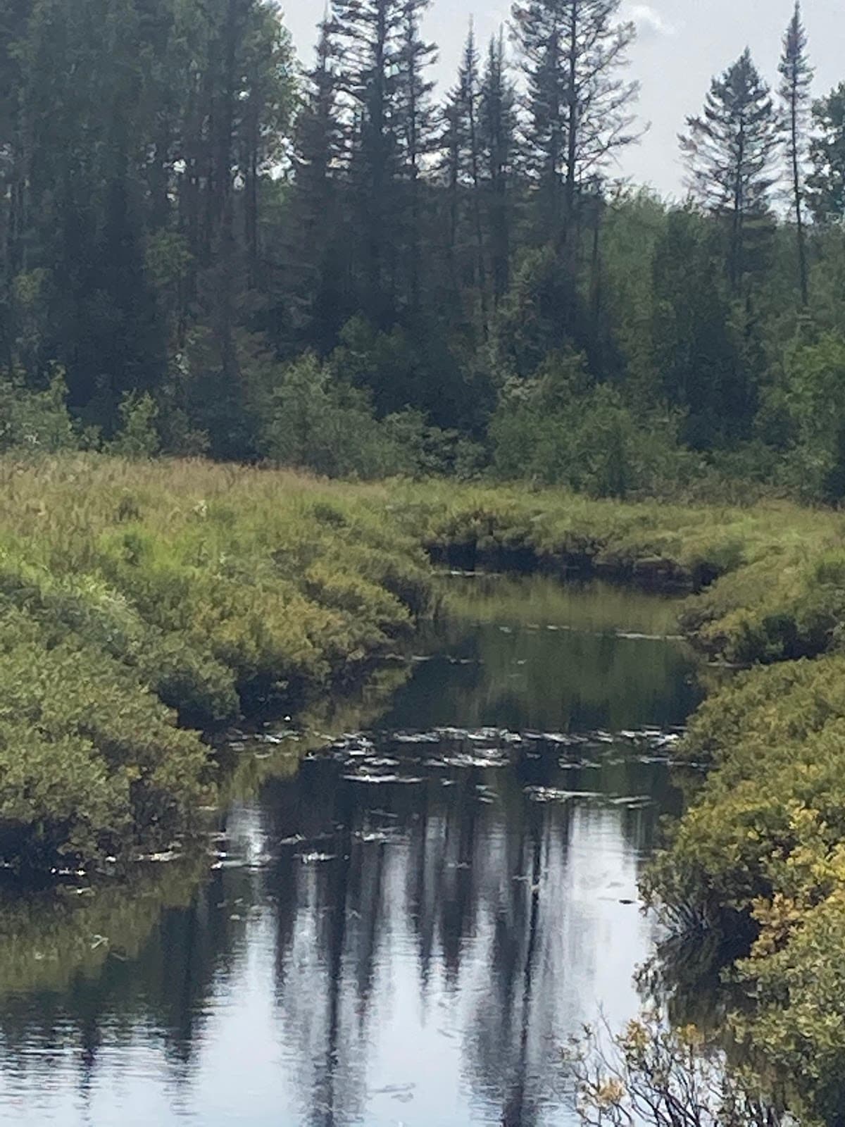 Superior Hiking Trail Duluth Sections - Image 1