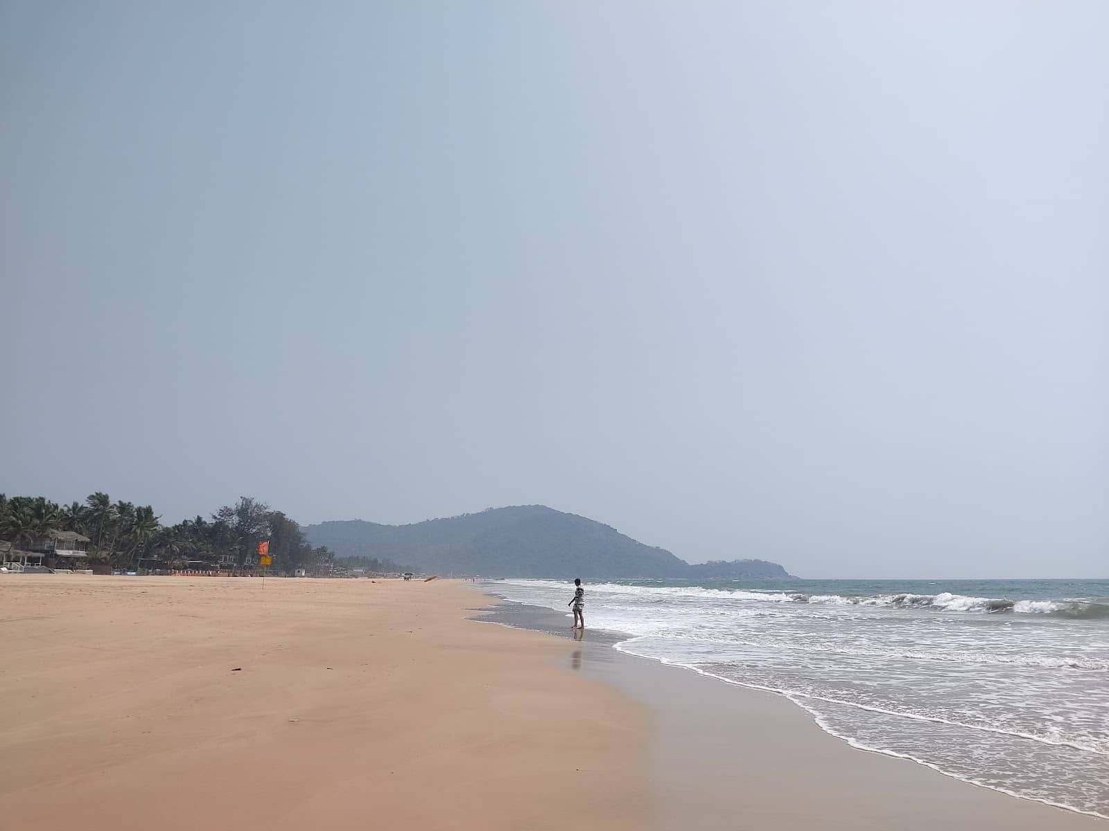 Olive Ridley Turtle Nesting