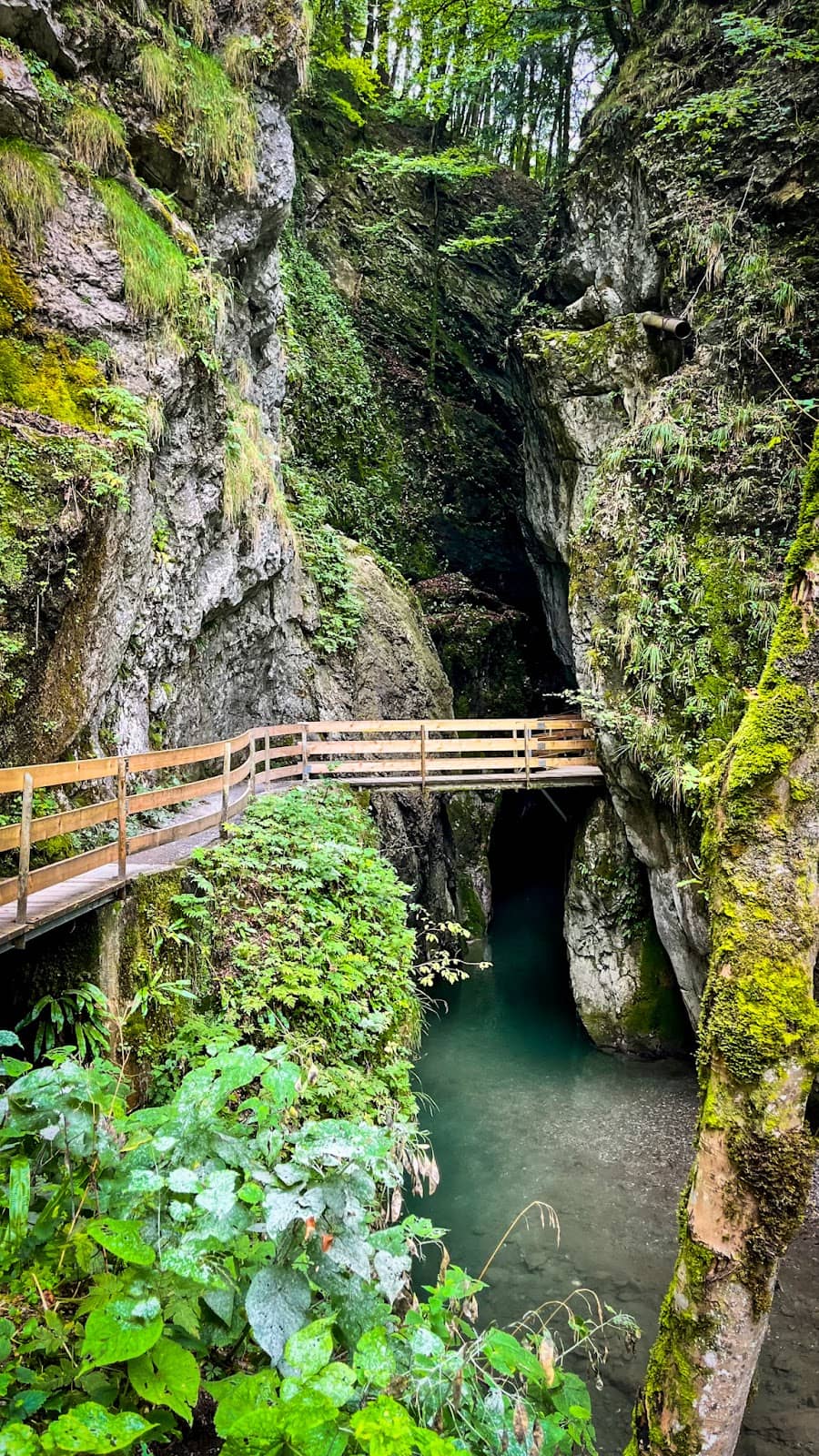 Family-Friendly Exploration