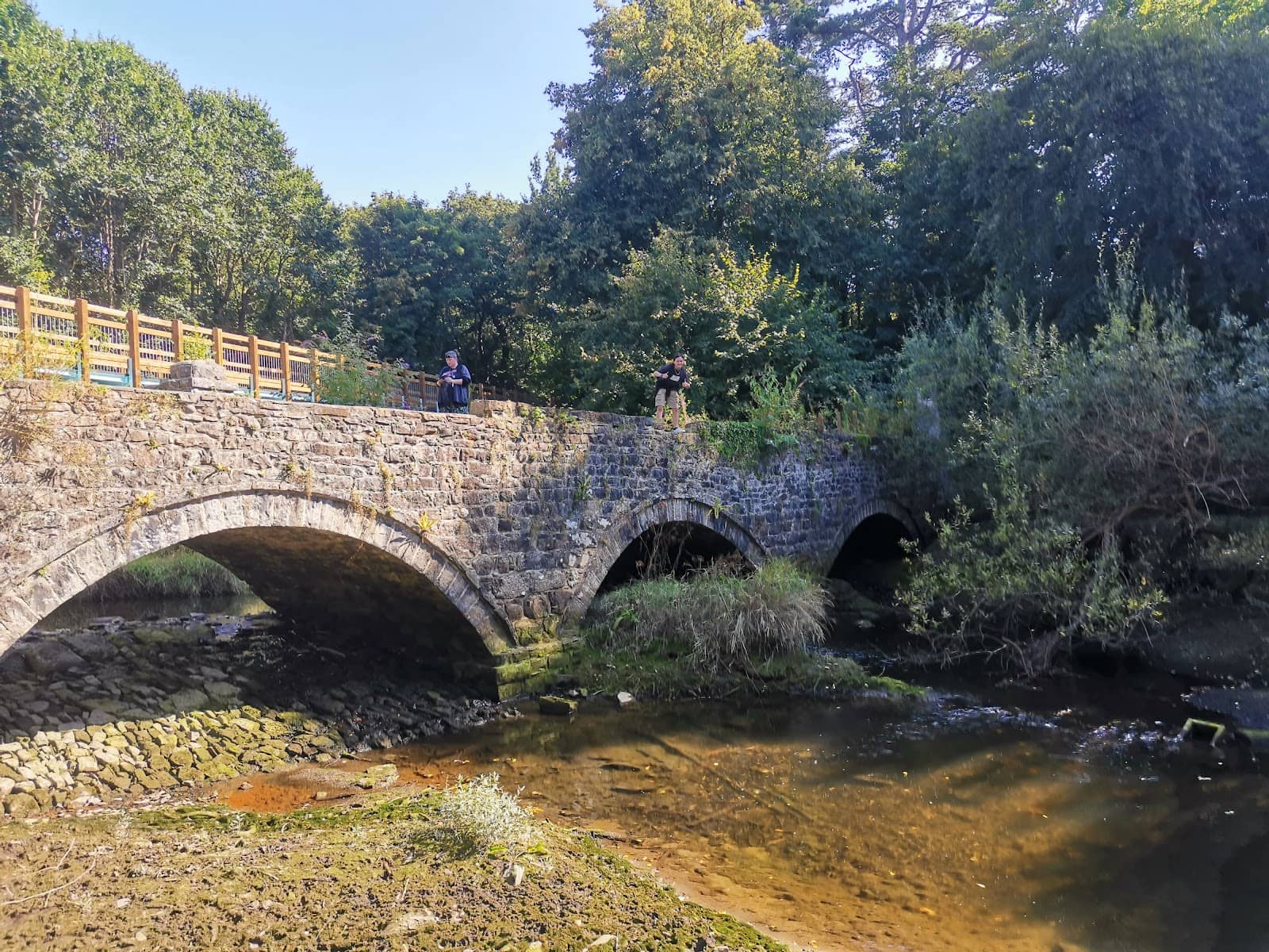 River Ogwen Scenery