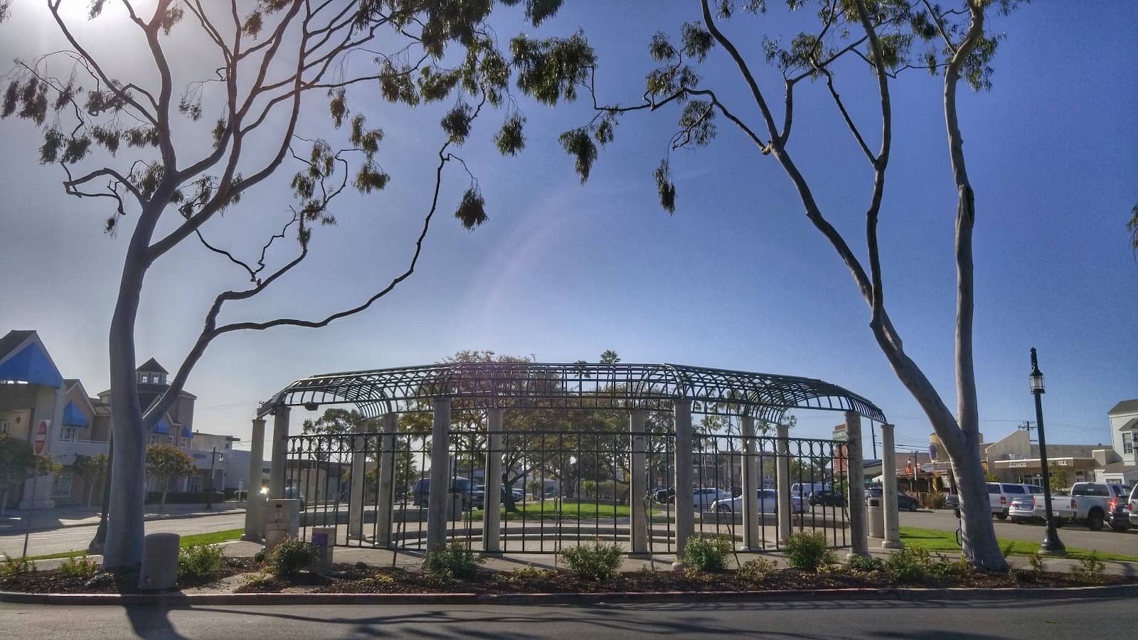 Saturday Farmer's Market