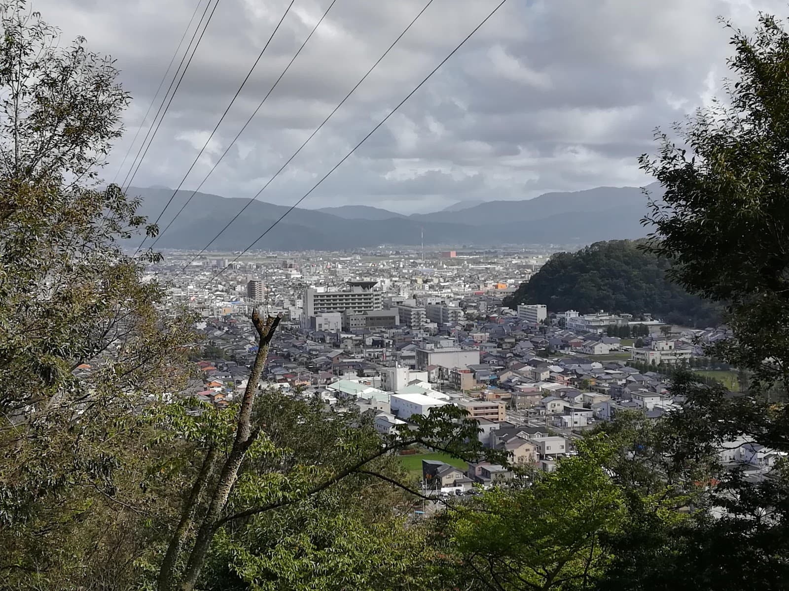 Asuwayama Zoo - Image 1