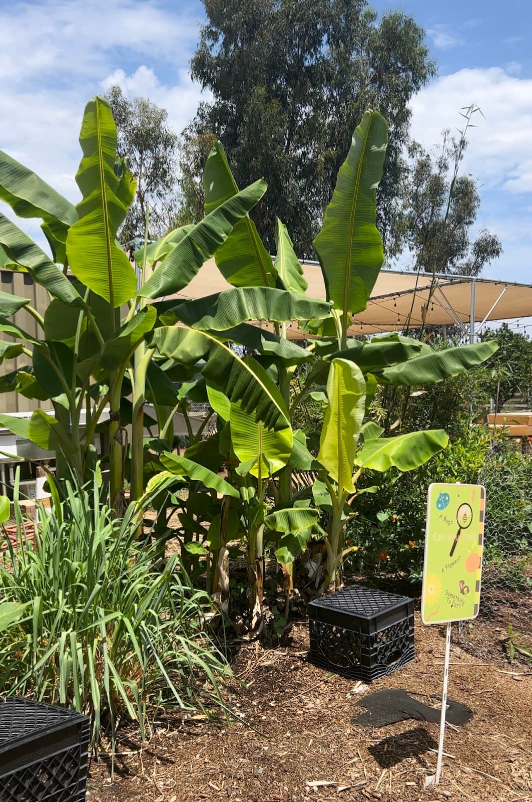 Farm + Food Lab (Great Park) - Image 1