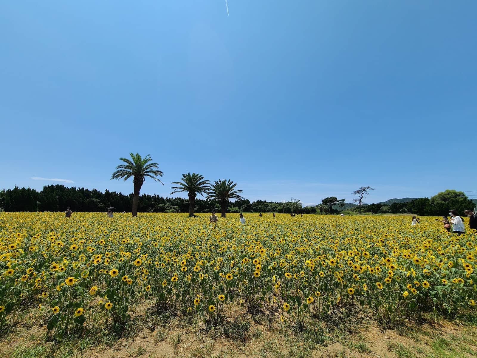 Kid-Friendly Playground