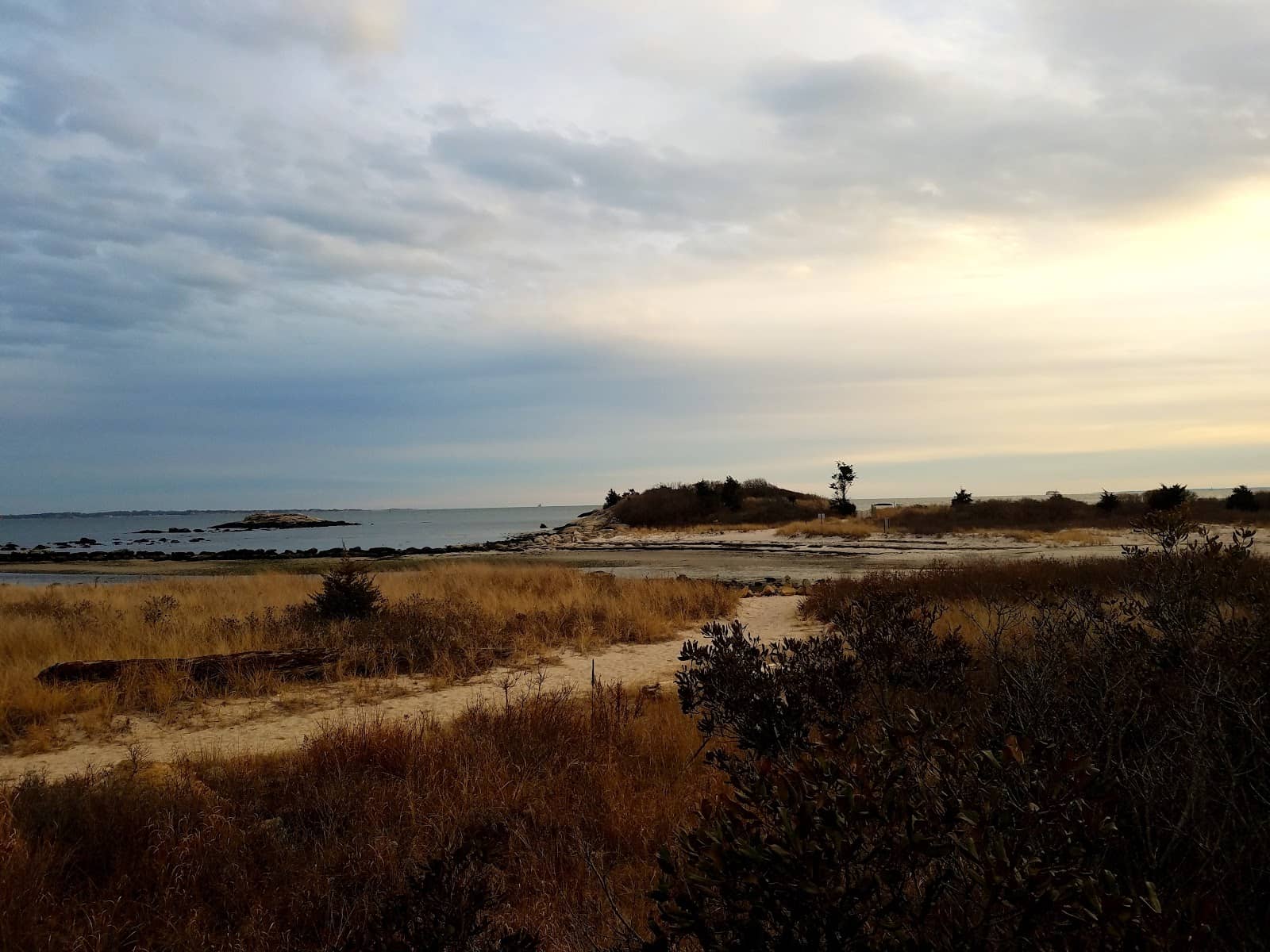 Salt Marsh Ecosystem