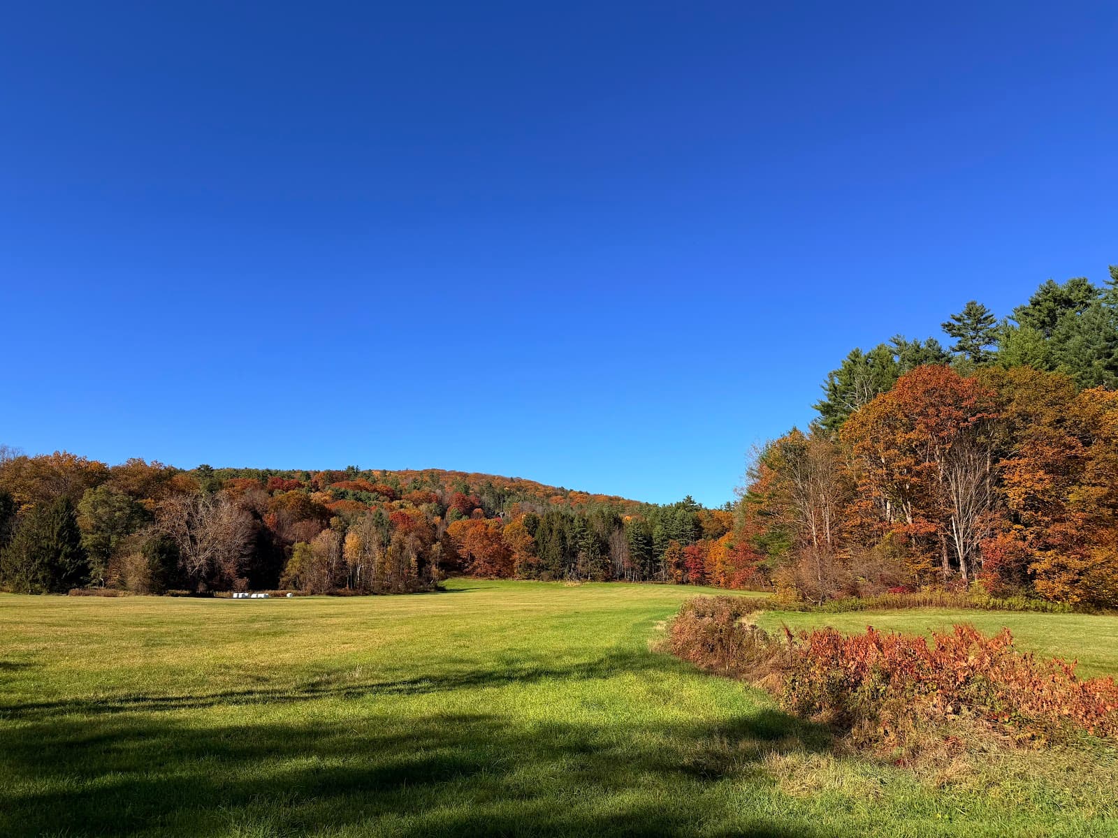 Dewey’s Mills Pond - Image 1