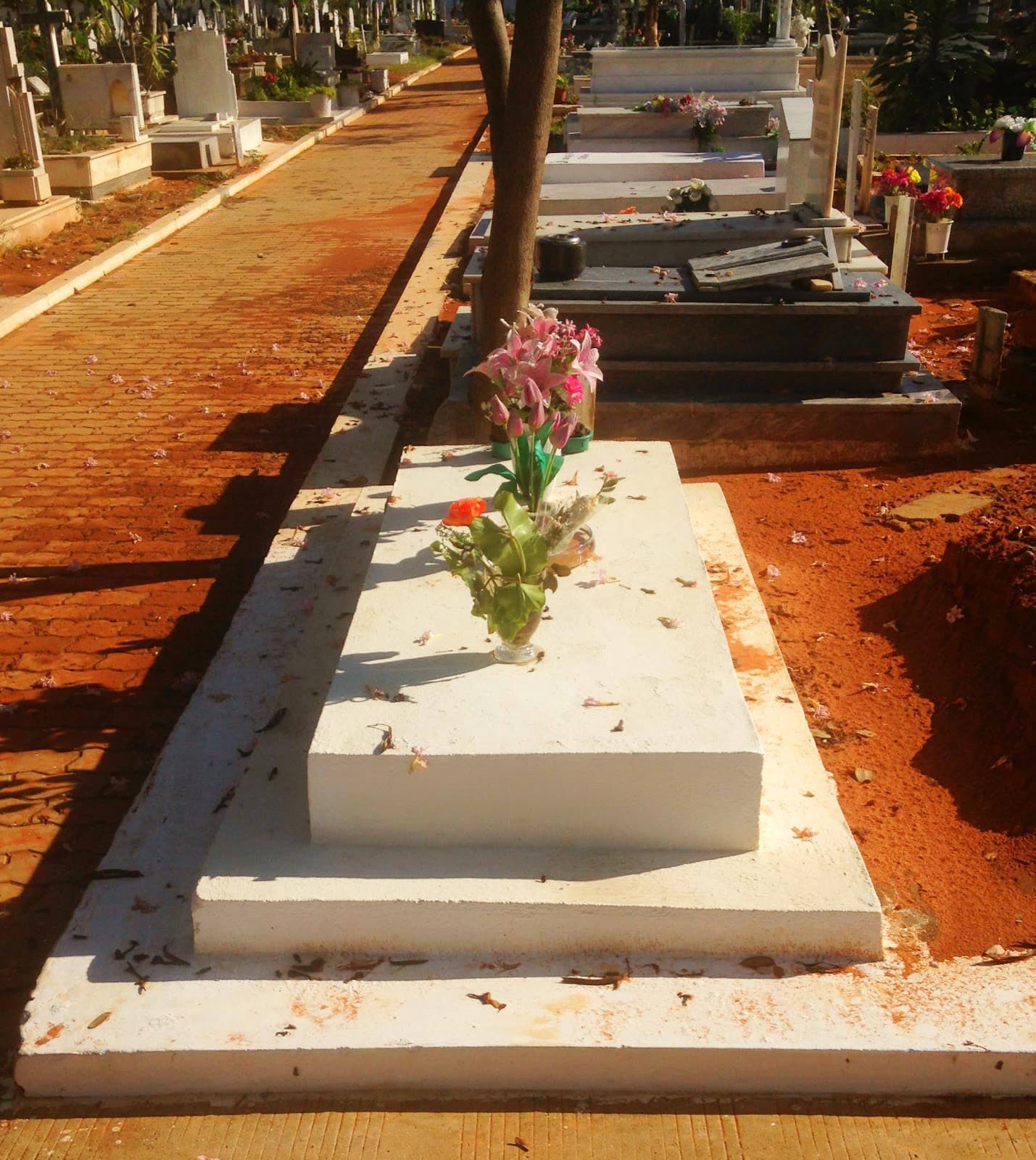 Alto das Cruzes Cemetery - Image 1