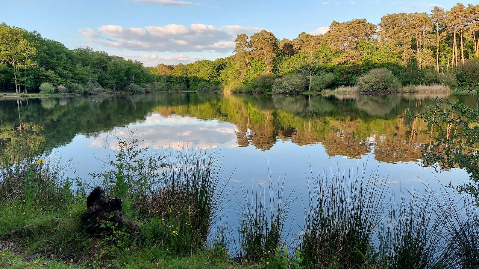 Étang d'Or - Image 1