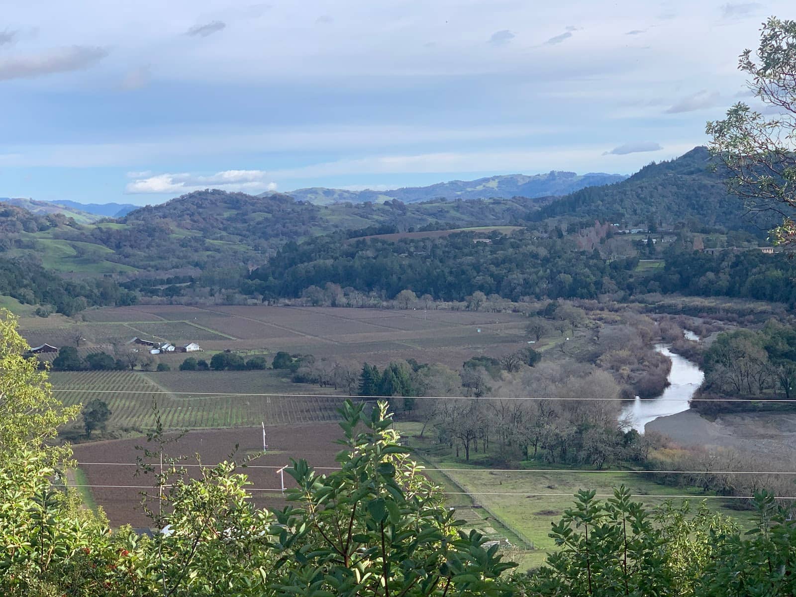 Tranquil Resting Spot