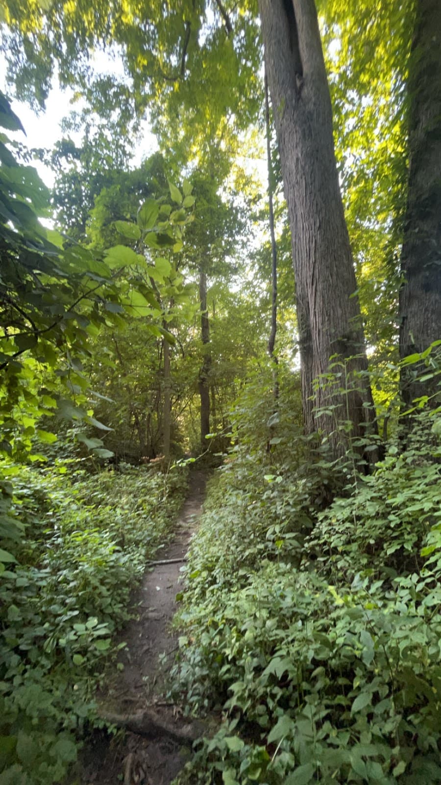 Heron Rookery Trail - Image 1