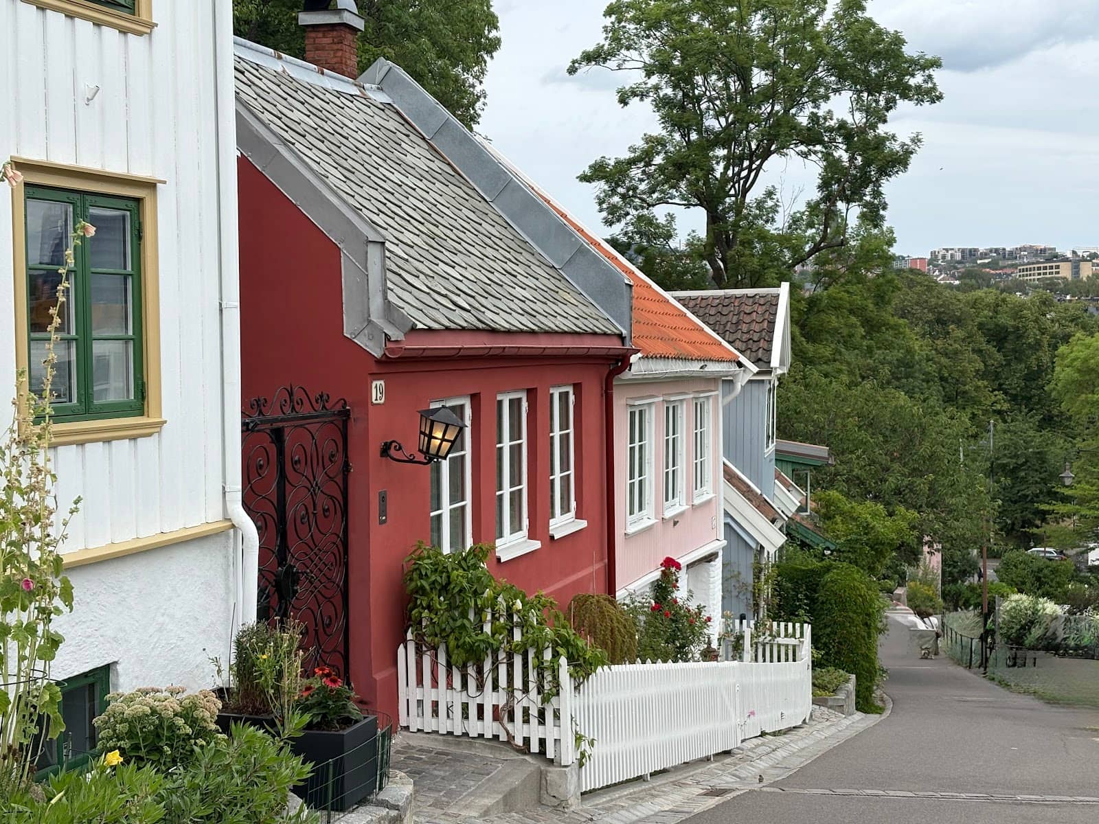 Tranquil Allotment Garden