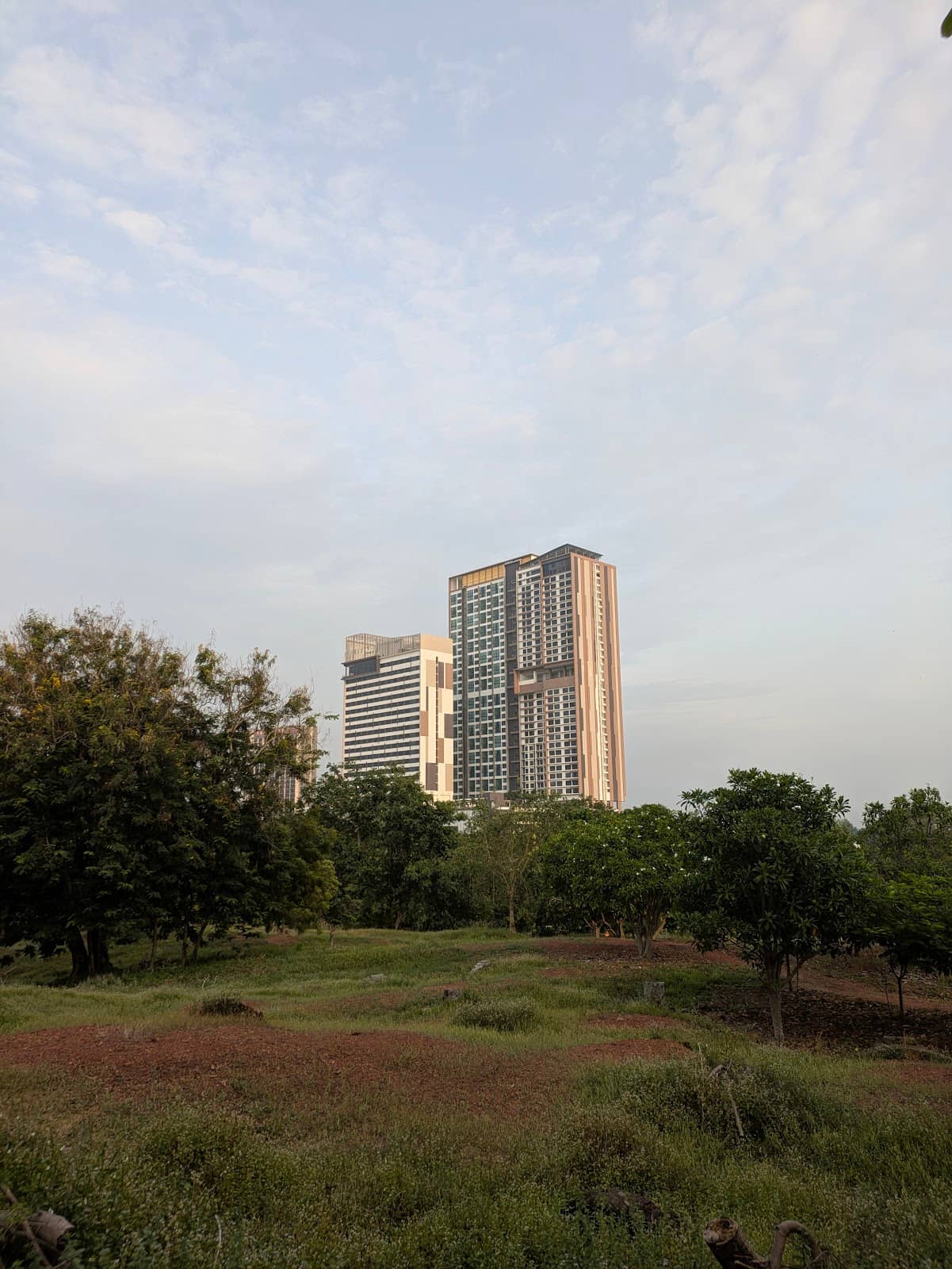 Peaceful Walking Paths