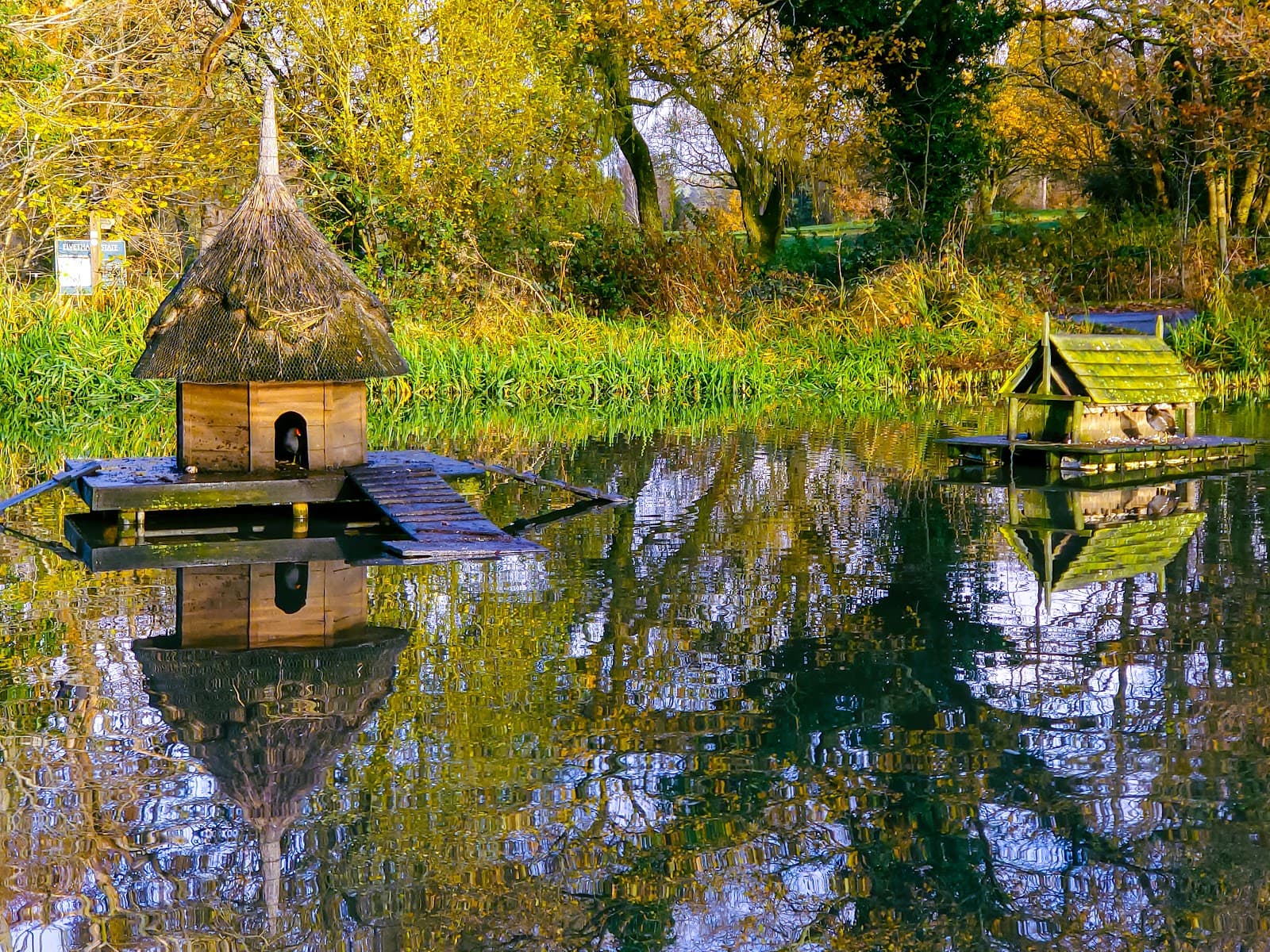Hartley Wintney Common & Duck Pond - Image 1