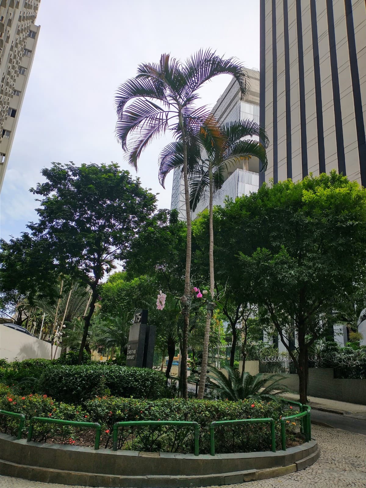 Lapa (neighborhood) - Image 1