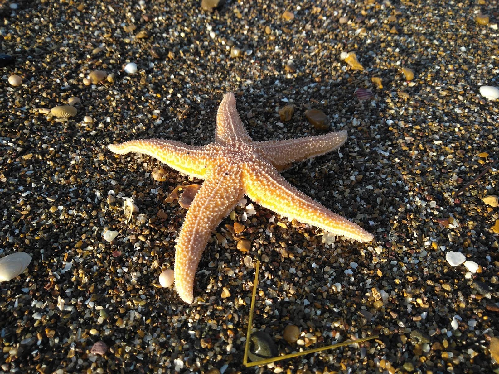 Unique Finds & Crafts