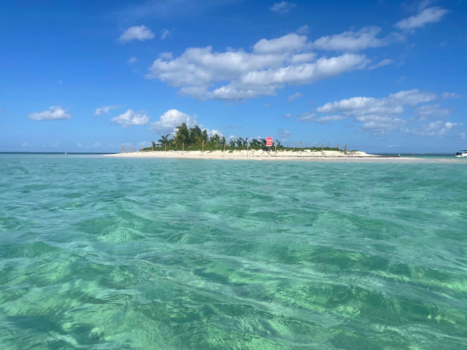 Abundant Marine Life