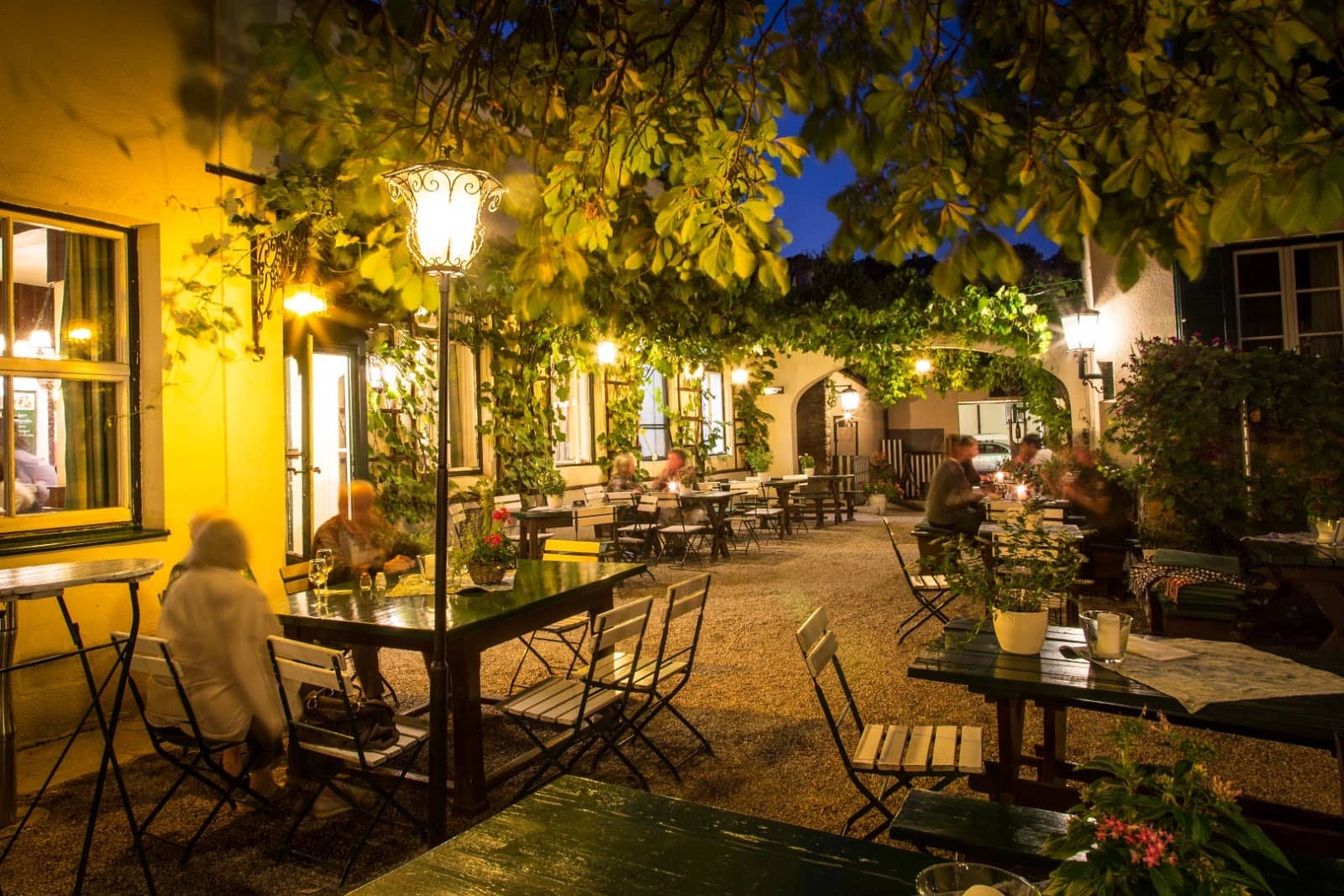 Mayer am Pfarrplatz Melodies