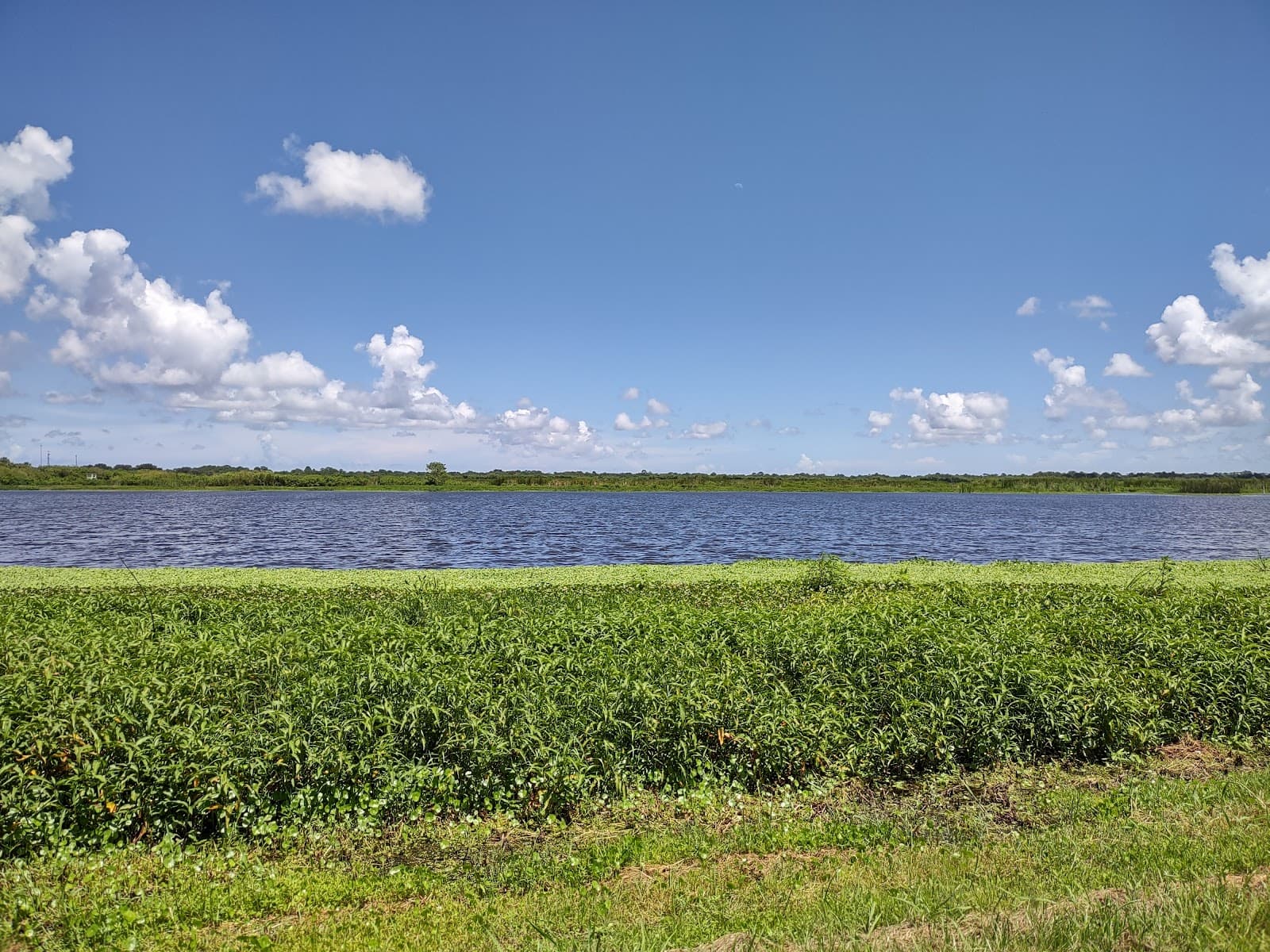 Blue Heron Wetlands - Image 1