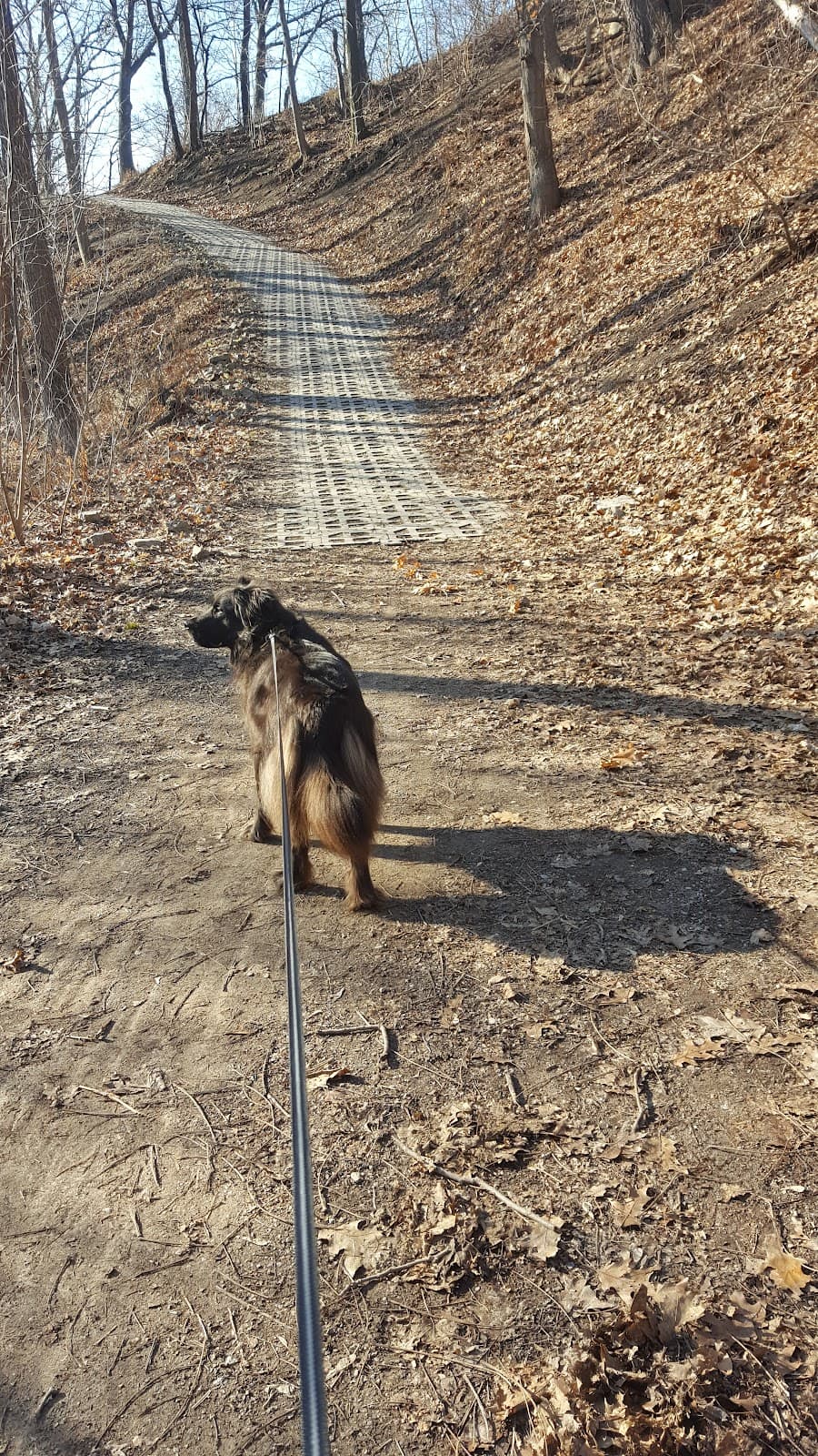 Bruce Trail (Stoney Creek) - Image 1