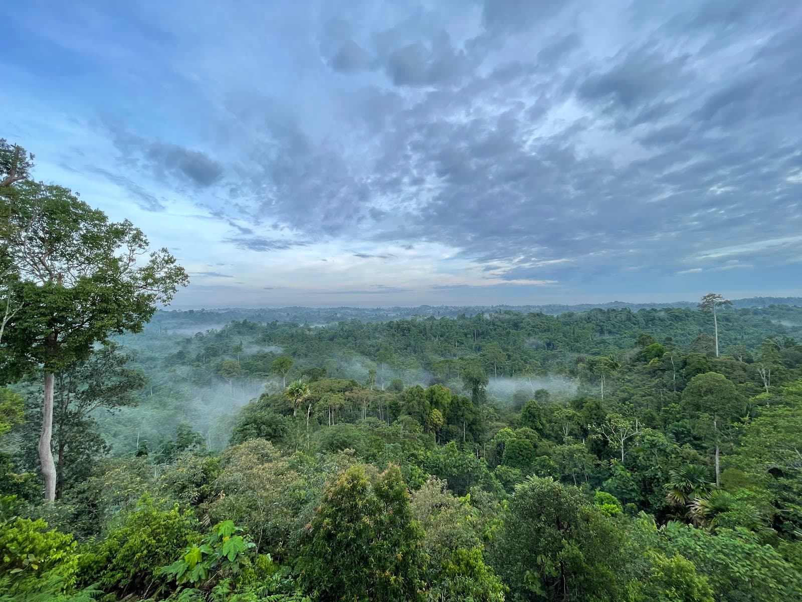 Batu Dinding Samboja - Image 1