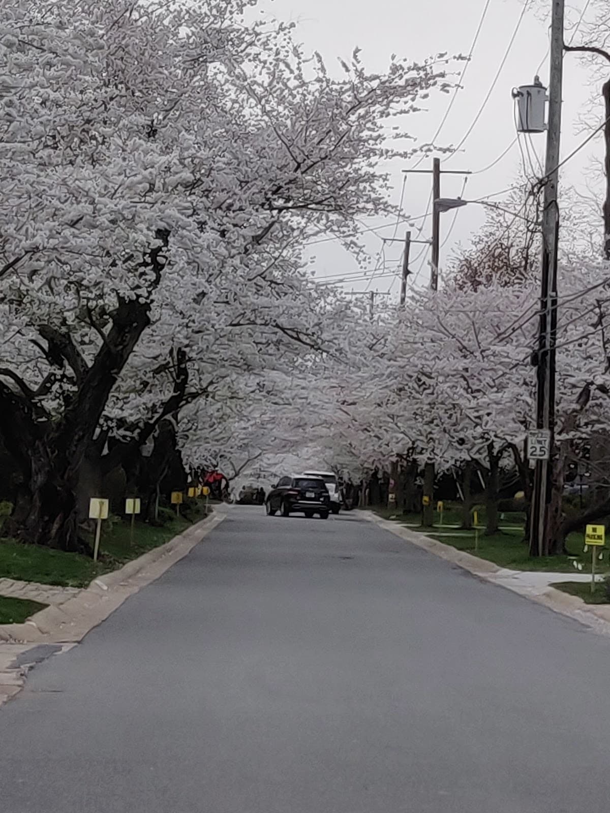 Downtown Bethesda - Image 1