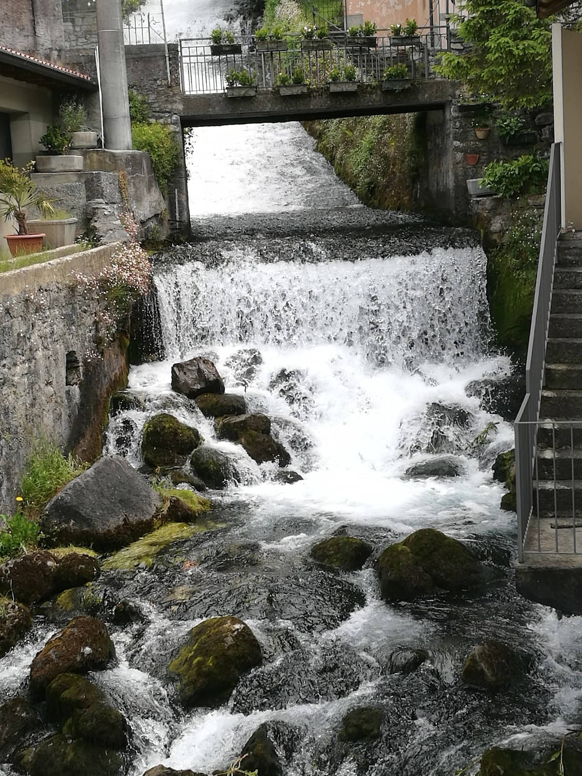 Scenic Lakeside Views