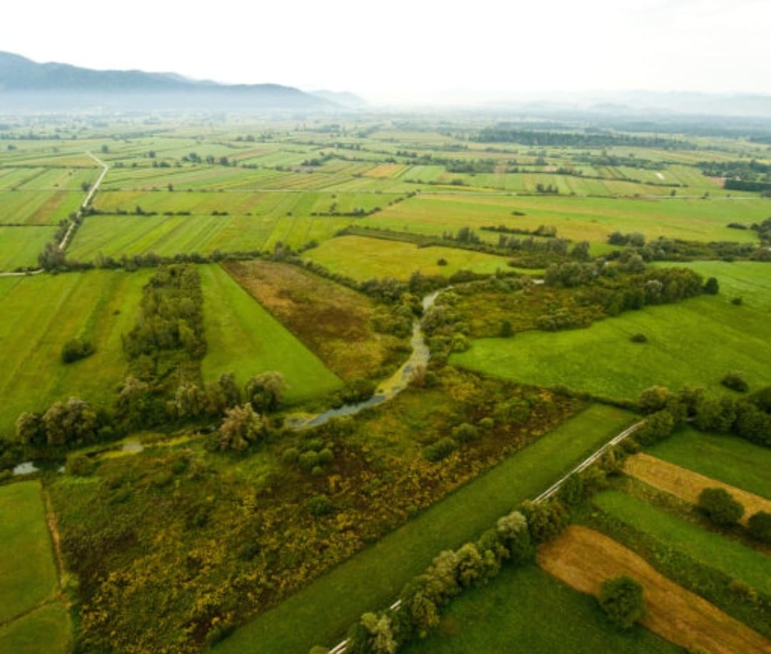 Ljubljana Marshes Nature Park - Image 1